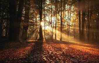 Autumn US Indie Rock