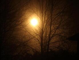 Cruel Light