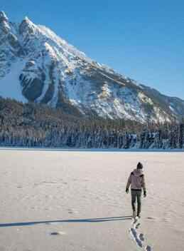 walk out to winter
