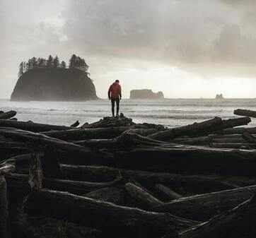 The Cutter, Echo & The Bunnymen