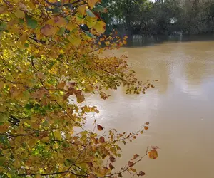 Worcester River Severn