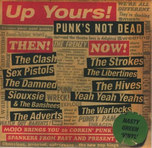 Up Yours Punks Not Dead