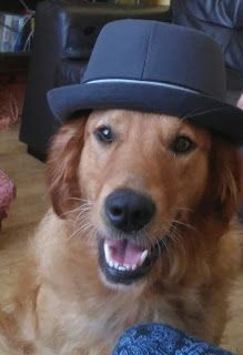 Diesel the Dog