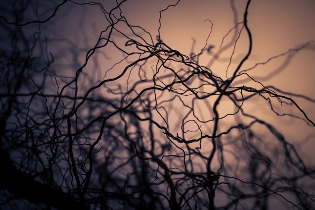 Twisted Nerve