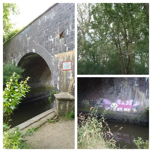 Bridge River & Copse