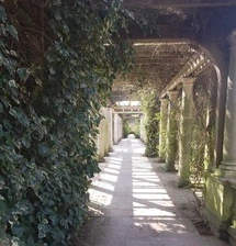 Hampstead Hill Pergola 2