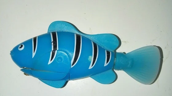Plastic Fish